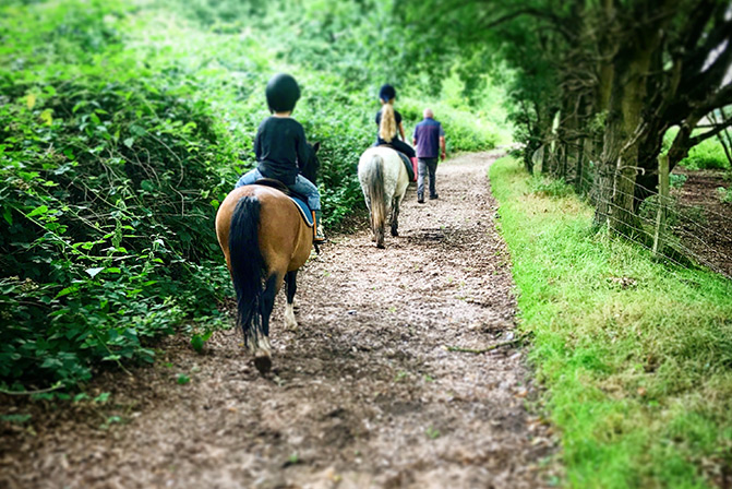 Weeford Stables Equine Adventures Lichfield