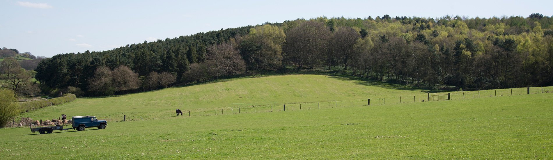 Weeford Stables Lichfield